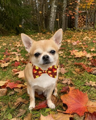 PET SHOW 30 Pack Fall Dog Bowties Bulk for Small Dogs Cats - Image 6