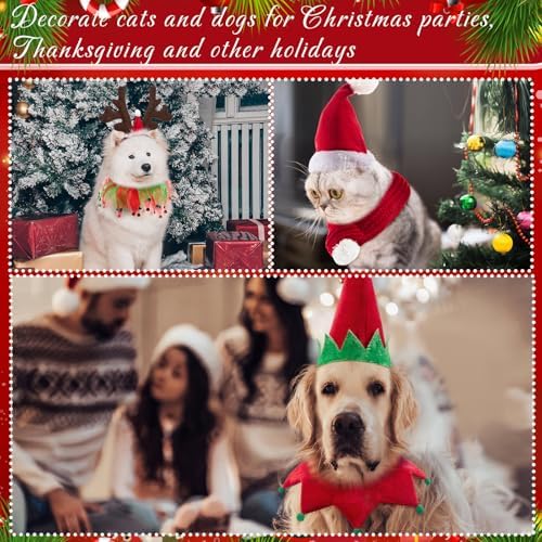 Talltalk 3 Pack Dog Christmas Costume Classic Christmas, Santa Caps Collars - Image 6