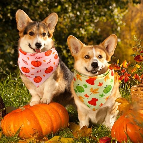 Preboun 50 Pcs Fall Dog Bandanas Bulk, Autumn Pumpkin Maple Leaves Pattern - Image 4