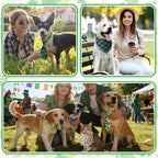 Reginary 120 Pcs Dog Bandanas Bulk Dog Bows Set Bow Ties Cat Scarf Colorful Washable Triangle Pet Kerchief Cute Bib for Summer Small Medium Large Pets Grooming Accessories Costume (St. Patrick's Day) - Image 6