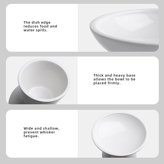 Ceramic Elevated Cat Bowls - 6.2 Inch Extra Wide Raised Cat Food and Water Bowl Set for Indoor Cats, Whisker-Friendly Ceramic Cat Dish for Elder Big Cats & Small Dogs,White,1 Pack