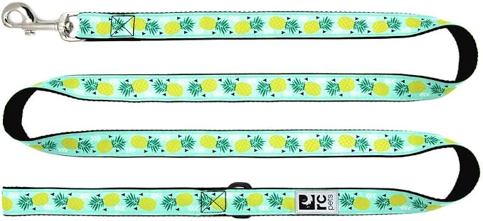 RC Pets 1" x 6 ft Dog Leash, Pineapple Parade