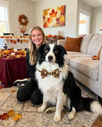 PET SHOW 30 Pack Fall Dog Bowties Bulk for Large Dogs - Image 5
