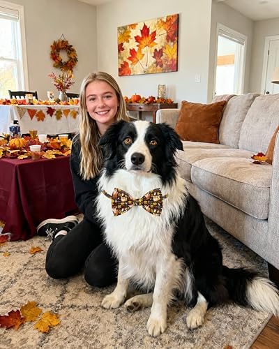 PET SHOW 30 Pack Fall Dog Bowties Bulk for Large Dogs - Image 5