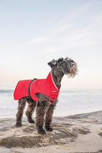 Goldpaw Rainpaw Waterproof Dog Raincoat - Durable Dog Rain Jacket for Small Dogs - Easy to Wear, Adjustable, Premium Pet Outerwear - Made in The USA - Machine Washable - Black Bean - Size 10