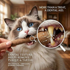 15pcs Freeze Dried Cat Chew Sticks Kitten Beef Treats for Teeth - Image 2