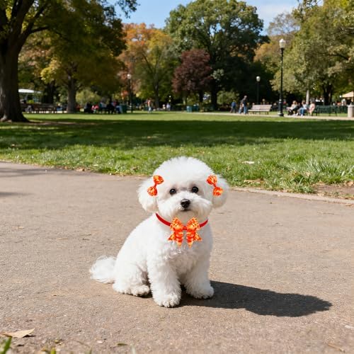 120PCS Tie Dye Dog Bows Pack Include 60PCS Dogs Collar Flowers and Bowties Attachments 20PCS Bowties with Adjustable Collar 40PCS Hair Bows for Girl Female Boy Male Dogs Grooming Accessories - Image 6