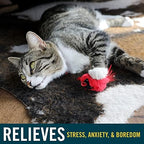OurPets Play-N-Squeak Real Birds Interactive Cat Toys with Catnip (Cat Toys for Indoor Cats; Catnip Toy for Cats with Bird Chirping Electronic Sound and Feather) - Image 4