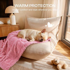Luciphia 2 Pack Small Dog Blanket, Cozy Fleece Throw for Puppy Cat,30"x20" - Image 5