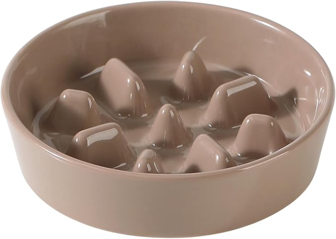 Havniva Slow Feeder Dog Bowls, Ceramic Dog Bowl Slow Feeder for Fast Eater | 0.9 Cups Puzzle Dog Food Bowl, Slow Feeding Bowls for Small Breed, Non-Slip Rubber Base, Anti-Choking
