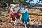 Hurtta Mudventure ECO Dog Overall, Cinnamon, 18M