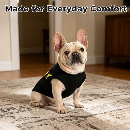 BINGPET Dog Security Shirt, Soft Cotton Puppy T-Shirt, Halloween Costumes - Image 6