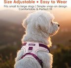 Dog Harness and Leash Set with Collar, No Pull Reflective Pet Vest Harness with Control Handle for Medium Large Dogs Walking and Training