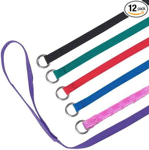 Downtown Pet Supply Slip Lead Dog Leash 12 Pack, 4' x 1/2" - Universal Dog Leash with Metal O Ring - Machine Washable for Groomers, Shelters, Rescues, Vets, or Doggy Daycares