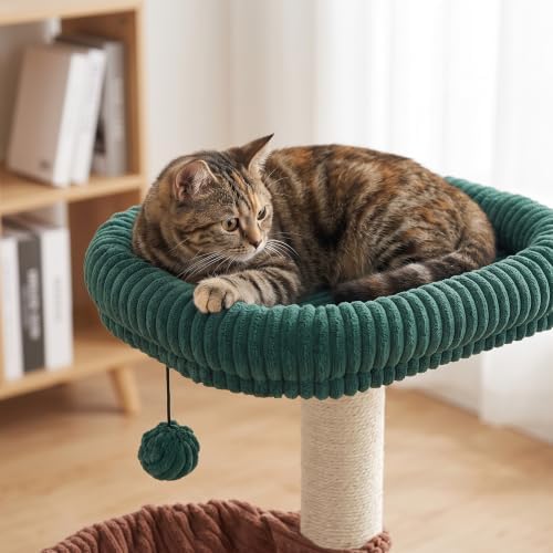 YUNIQUE Cat Tree with Cat Condo and Big Hammock, Dark Green - Image 3