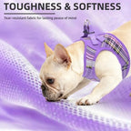 PUPTECK Dog Harness, Collar and Leash Set No Pull for Small Medium Sized - Image 6