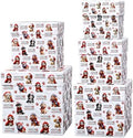 Roowest 5 Pcs Christmas Nesting Gift Boxes with Lids Dog Stackable by Roowest