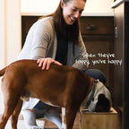 Pawfect Pets Elevated Dog Bowl Stand- 7" Raised Pet Feeder for Medium Dogs with Four Stainless Steel Bowls.