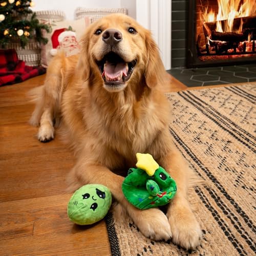 BarkBox Consuela the Christmas Cactus 2-in-1 Interactive Plush Dog Toy - Image 5