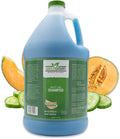 Green Groom White Dog Shampoo, Whitening and Brightening, Gentle, 1 Gallon | 32:1 Concentrate, Restores Light Coat Tones, Coconut Oil and Protein Condition Dry Coats, Pet Grooming Wash, Groomer Grade