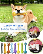 SCHITEC Squeaky Dog Toys, [2 Pack] Squawking Latex Toy with Interactive Squeaker, Squeak Rubber Duck Chicken for Medium Small Dogs - Image 7