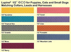 LupinePet Eco 1/2" Mountain Lake 10-16" Adjustable Collar for Small Dogs