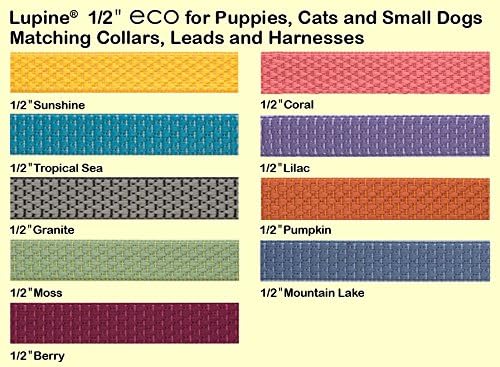 LupinePet Eco 1/2" Mountain Lake 10-16" Adjustable Collar for Small Dogs
