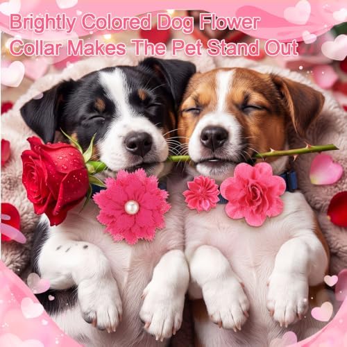 Hoteam 50 Pcs Dog Collar Flowers Bows Accessories, Rose Red - Image 5