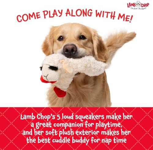 Multipet Lamb Chop Dog Plush Toy 10", Cream, 5 Squeakers - Image 6