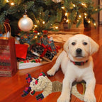 Christmas Squeaky Elk Dog Toys- Plush Tug of War Dog Toy for Large Breed- Interactive Dog Toys with Crinkle to Keep Them Busy- Training and Reduce Boredom - Image 5