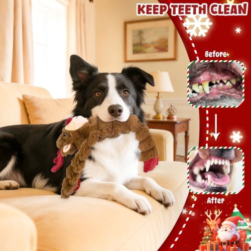 Christmas Dog Toys 3 Pack No Stuffing Squeaky Gift - Image 4