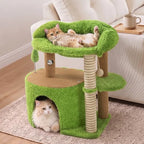 WOOCHPET Small Cat Tree with Scratching Post and Cat Hammock for Kittens - Image 2