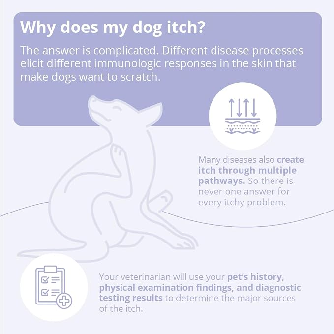 4 Shampoo for Dogs, Cats and Horses, 16 Ounce | Antibiofilm; Packaging May Vary