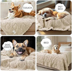Luciphia Small Dog Blanket Washable Pet Bed Cover Soft Fluffy Puppy Blanket with Premium Fleece 300GSM Cozy Calming Cat Blankets for Indoor Cats Beige 30x20 inch - Image 3