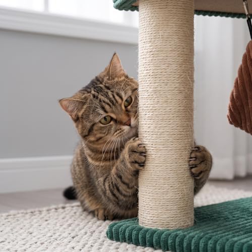 YUNIQUE Cat Tree with Cat Condo and Big Hammock, Dark Green - Image 7