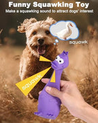 SCHITEC Squeaky Dog Toys, [2 Pack] Squawking Latex Toy with Interactive Squeaker, Squeak Rubber Duck Chicken for Medium Small Dogs - Image 2