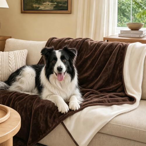 LOOBANI Waterproof Pet Blanket for Couch, Throw Size 50"x60", Coffee - Image 2