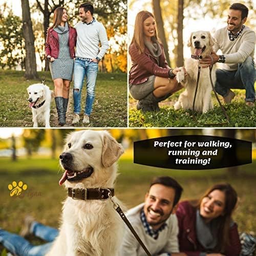 ADITYNA Leather Dog Leash 6 ft x 3/4 inch - Soft, Strong, Heavy Duty for Large & Medium Breeds - Dog Lead for Walking, Training, Hiking and Running (Brown)