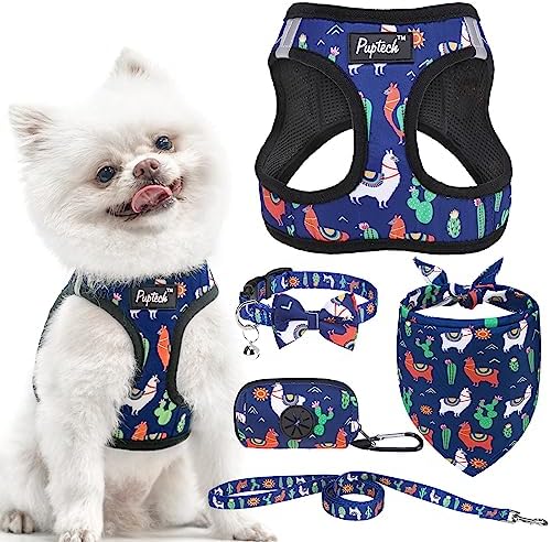 PUPTECK Dog Harness, Collar and Leash Set No Pull for Small Medium Sized by PUPTECK