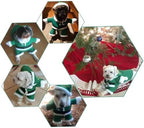 NACOCO Pet Christmas Costumes Dog Suit with Cap Santa Claus Suit Dog Hoodies Cat Xmas Costumes (Green, XXXL) - Image 5