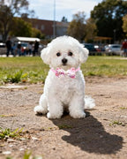 PET SHOW 50 Pack Paisley Small Dog Collar Bow Ties Bulk Puppy Cats Adjustable Bowties for Medium Dogs Floral Bowknots Holiday Party Ties Pet Grooming Accessories Assorted Randomly - Image 7
