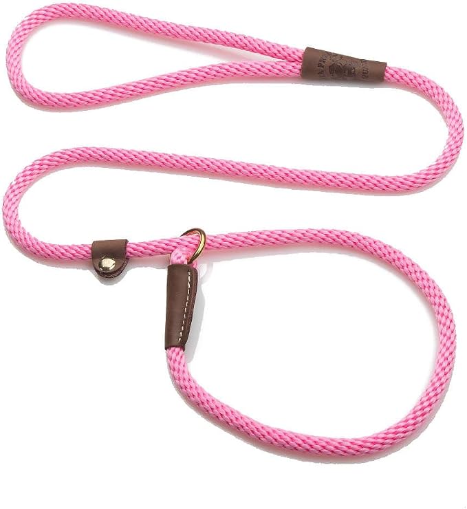 Mendota Pet Slip Leash - Dog Lead and Collar Combo - Made in The USA - Hot Pink, 3/8 in x 6 ft - for Small/Medium Breeds