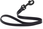 Dogline Biothane Waterproof Dog Leash Strong Coated Nylon Webbing with Black Hardware Odor-Proof Easy to Clean High Performance for Small or Large Dogs Made in USA 2 ft Lead, Black