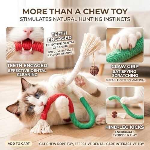 Cat Toys 3PCS Mix Catnip Chew Rope Silvervine Stick for Indoor Cat - Image 3