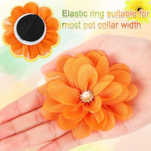 Hoteam 50 Pcs Dog Collar Flowers Bows Accessories, Multicolor - Image 6