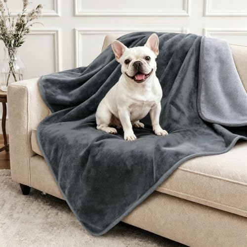 LOOBANI Waterproof Dog Blanket for Small Dogs, Pet Blanket 30" x 40", Grey by LOOBANI