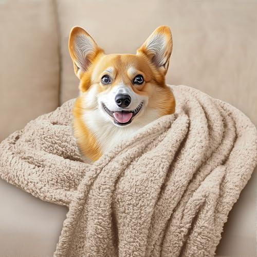 1 Pack 3 Calming Blankets Fluffy Premium Fleece Pet Blanket Soft Sherpa Throw for Dog Puppy Cat Beige/Black/Grey Large (41" x31'') - Image 6