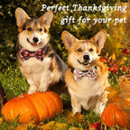 Reginary 50 Pcs Dog Bow Ties Pet Collar Attachment Autumn Style - Image 6