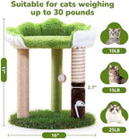Woochpet Cat Scratching Post with Cat Bed,Cat Scratcher Tree,Small Cat Tree - Image 4