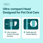 Breezytail Dentimal Double Action Pet Toothbrush (4 Pack) - 0.63" Ultra-Compact Head for Small to Medium Dogs & Cats, Dupont Ultra-Soft 90-Micron Micro-Fine Bristles, 15° Angled